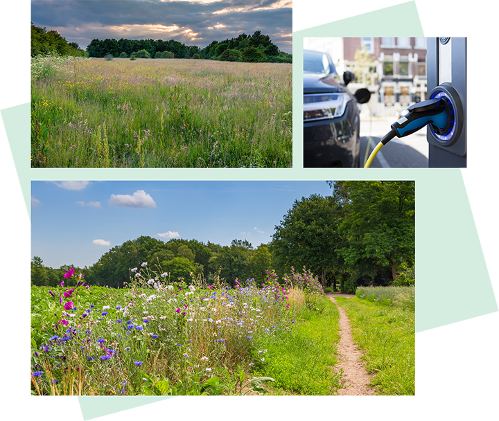 Collage of images showing the various sustainability goals